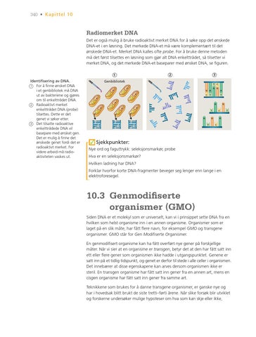 Page 340