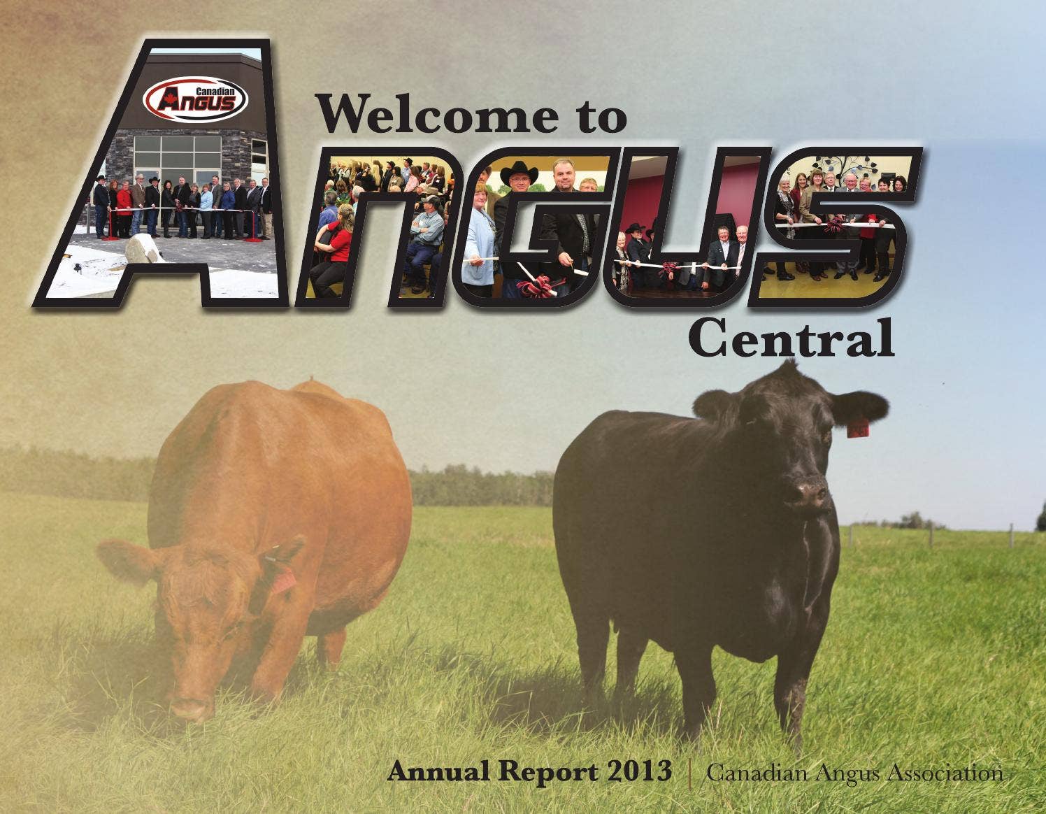 2013 Canadian Angus Annual Report by Rural Route Creations - Issuu