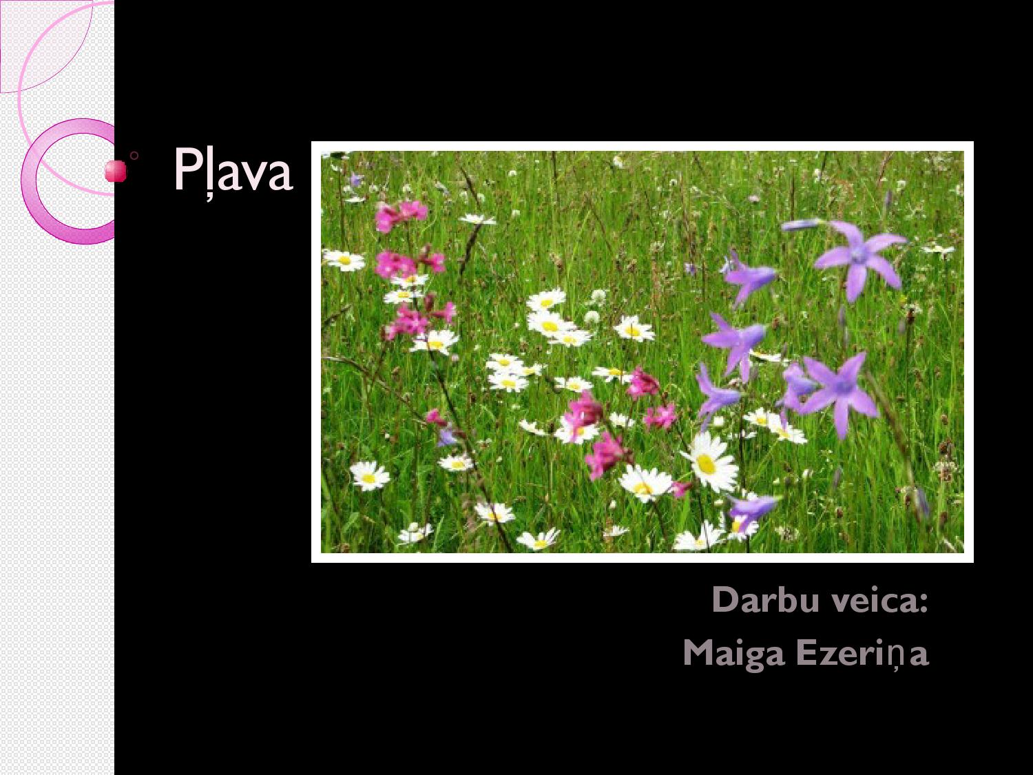 Dzīvnieki pļavā by Ilze Ilze - Issuu