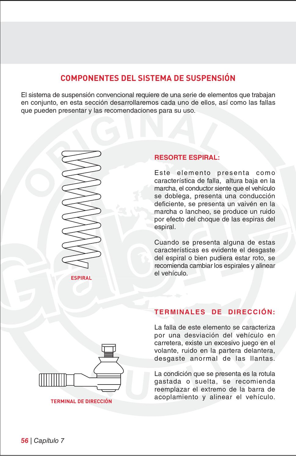 Ruido terminal de dirección