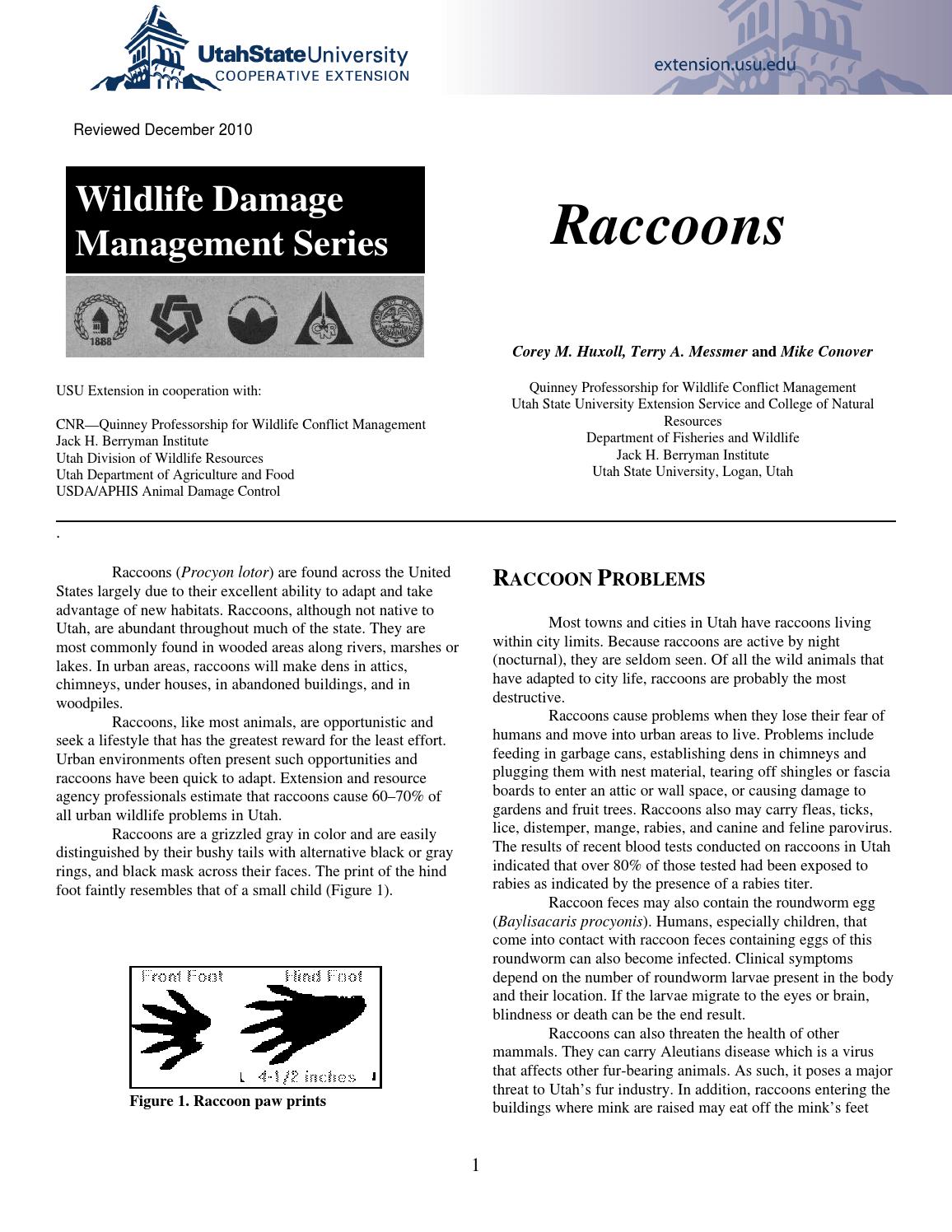 Wildlife Damage Management Series Raccoons by Utah State University