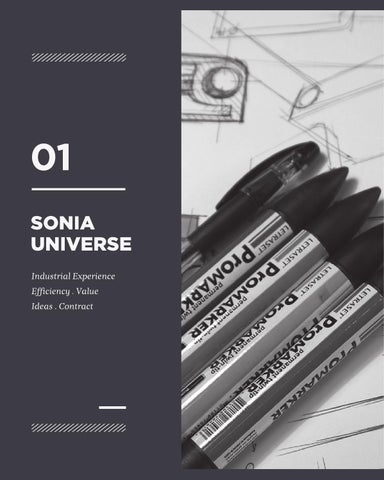 Unlimited Creations, SONIA 第 6 页