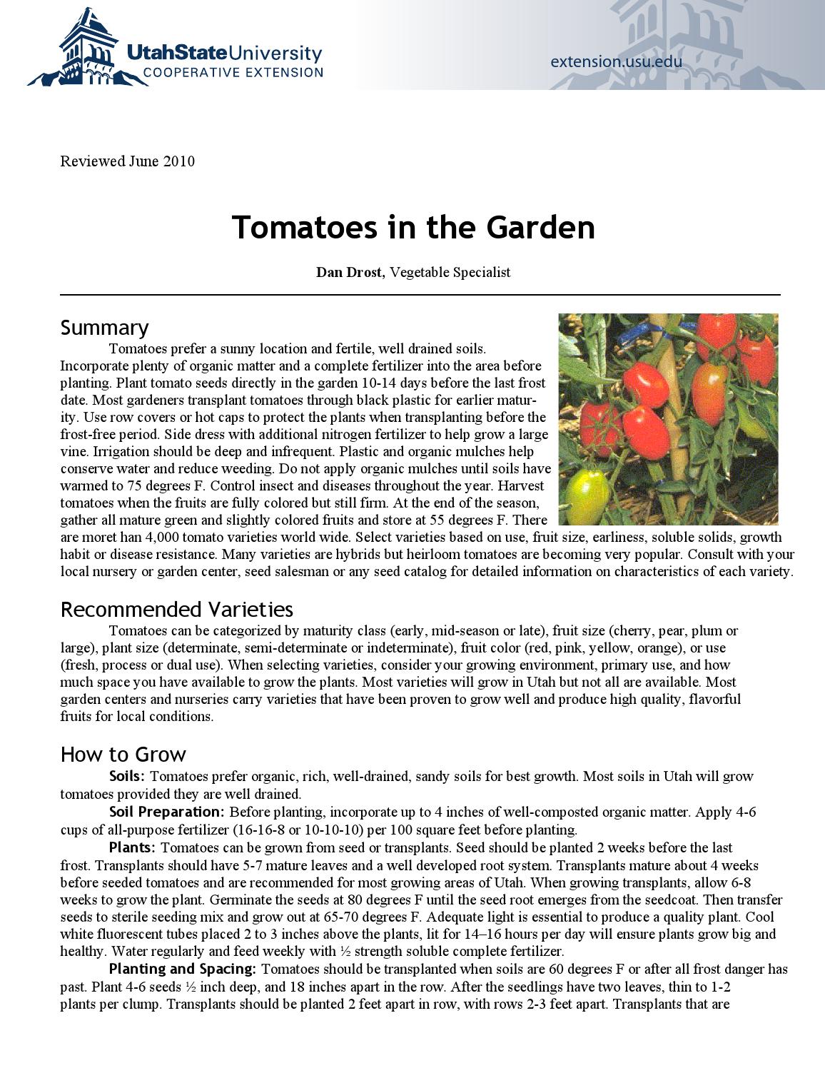 Tomatoes in the Garden by Utah State University Extension Issuu