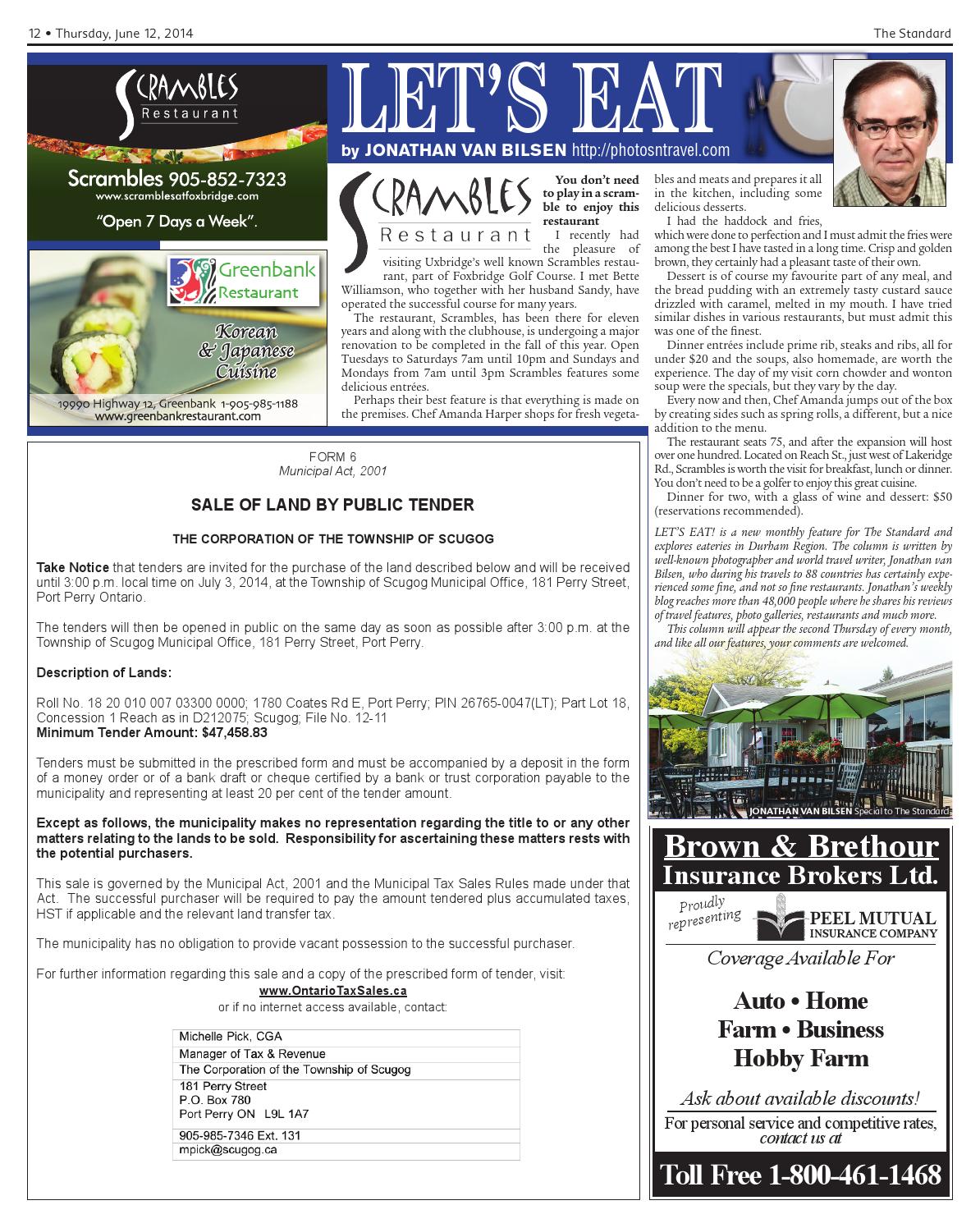 Foxbridge news essay 05 picture