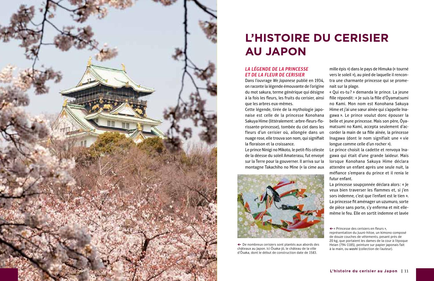 Extrait Cerisiers du Japon - Éditions Ulmer by Éditions Ulmer - Issuu
