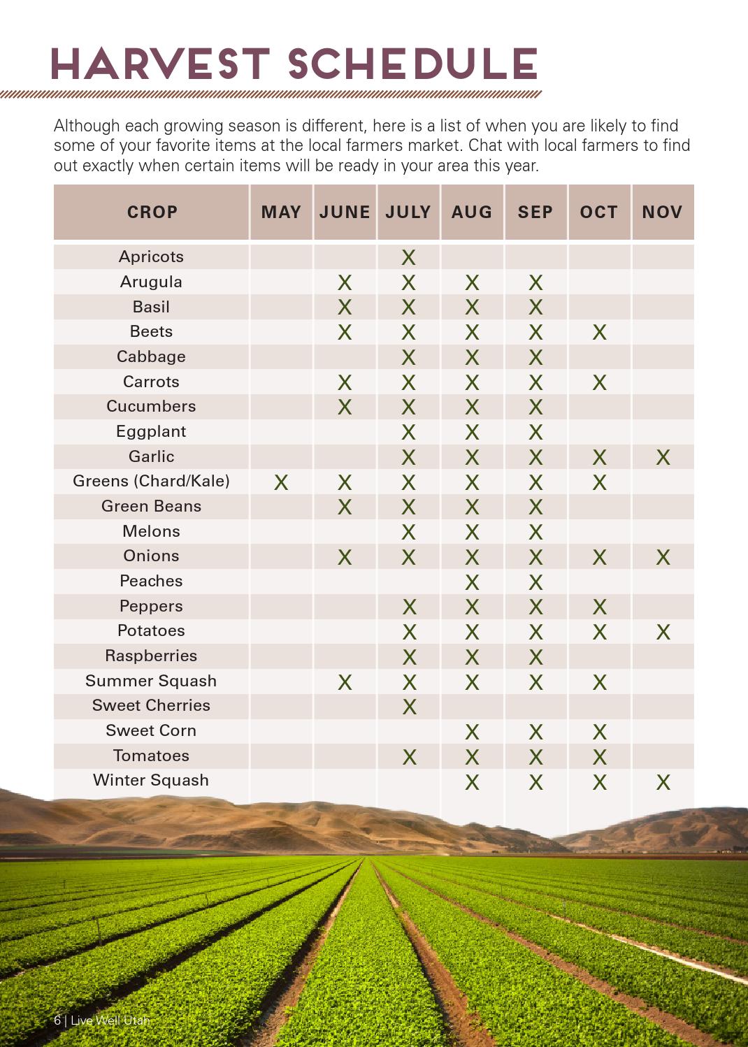 Live Well Utah Summer 2014 by Utah State University Extension issuu