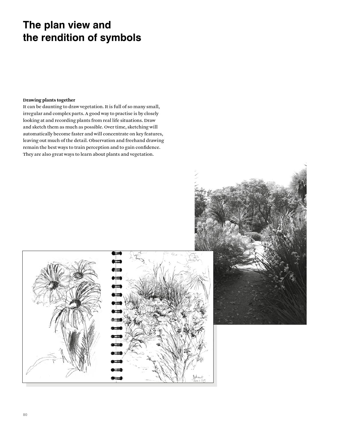 Drawing for Landscape Architects by DETAIL - issuu