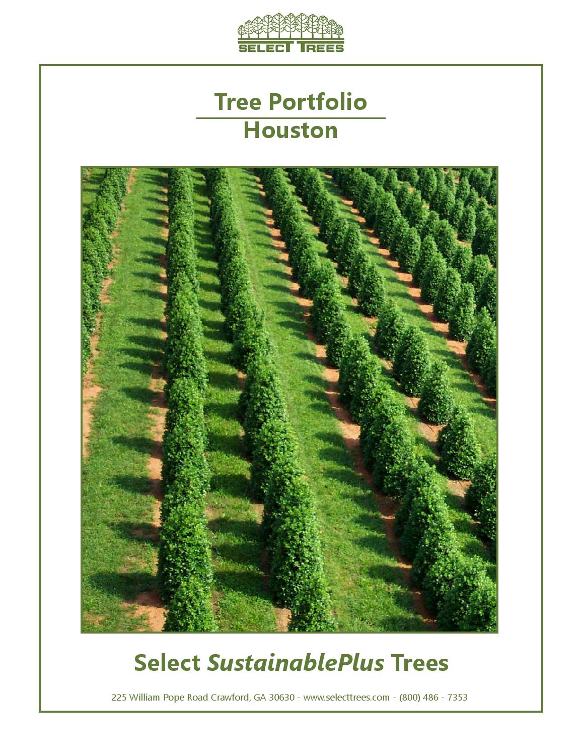 Tree Portfolio Houston by Select Trees Issuu