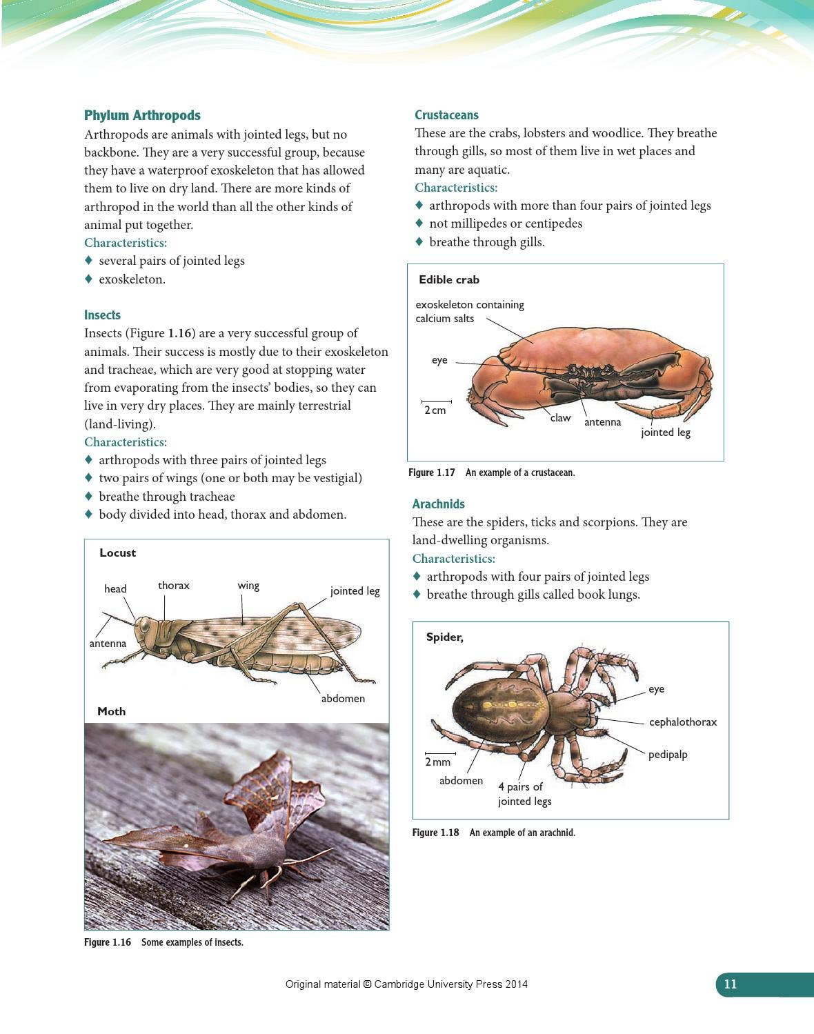 Cambridge IGCSE Biology Coursebook (third edition) by Cambridge ...