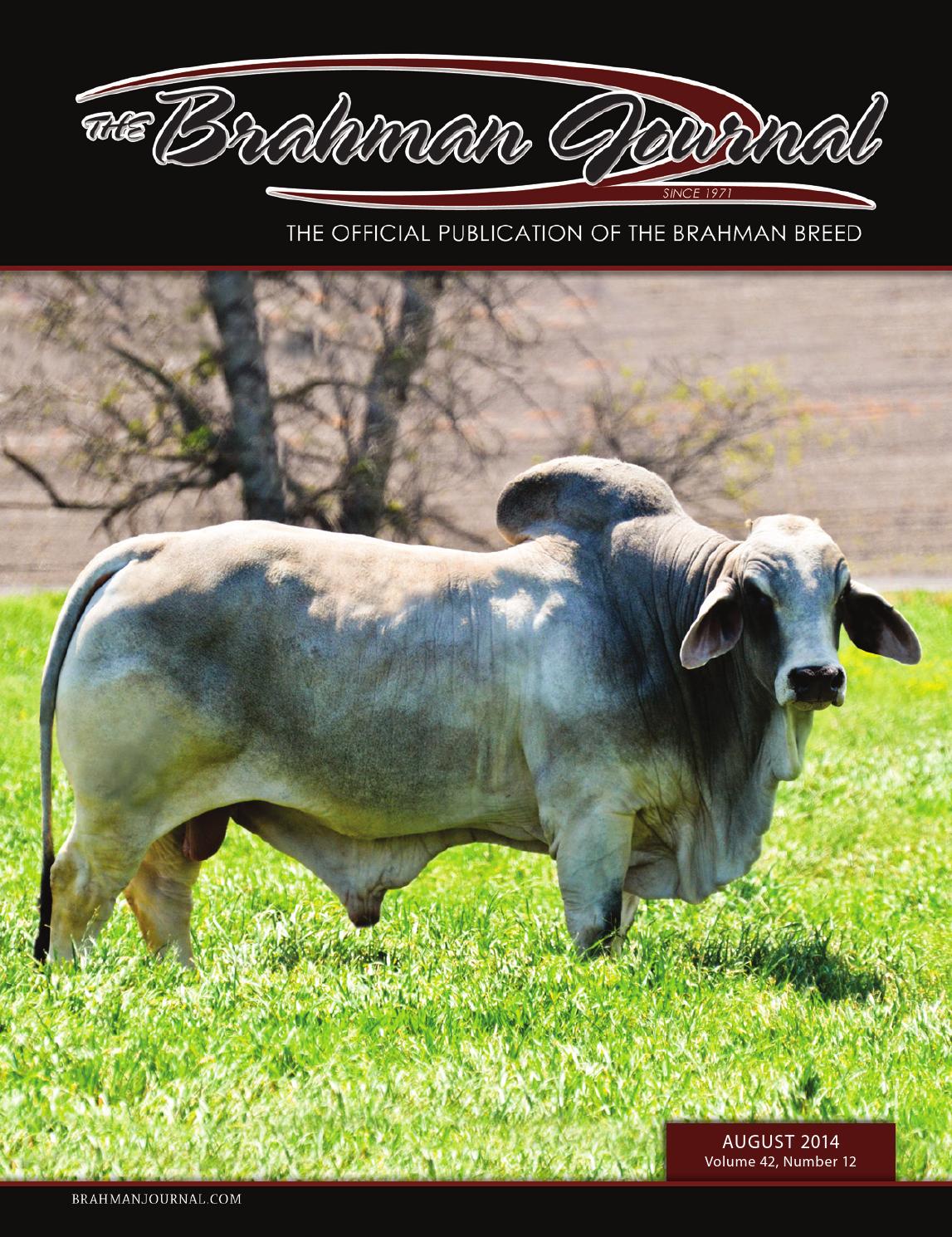 The Brahman Journal August 2014 by Caballo Rojo Publishing The