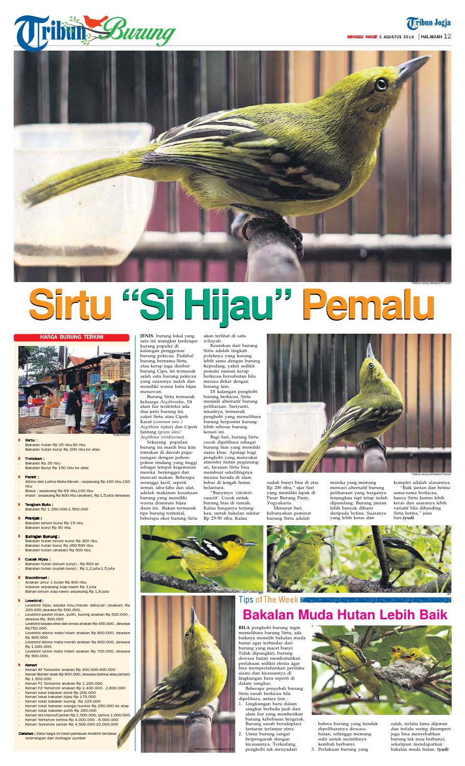 Tribunjogja 03 08 2014 By Tribun Jogja Issuu