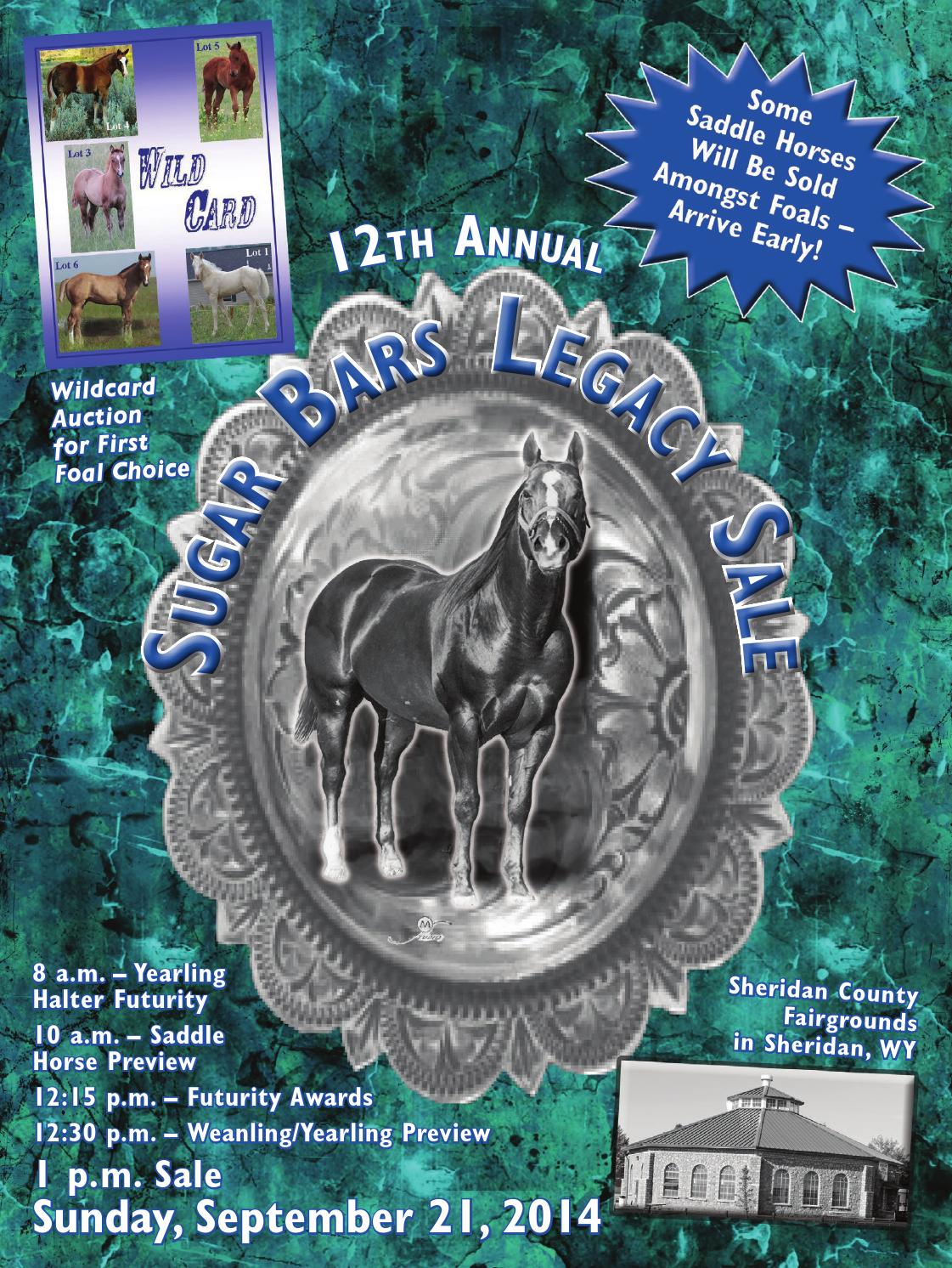 Sugar Bars Legacy 2014 Horse Sale Catalog by Moxie Marketing of the Midwest Issuu