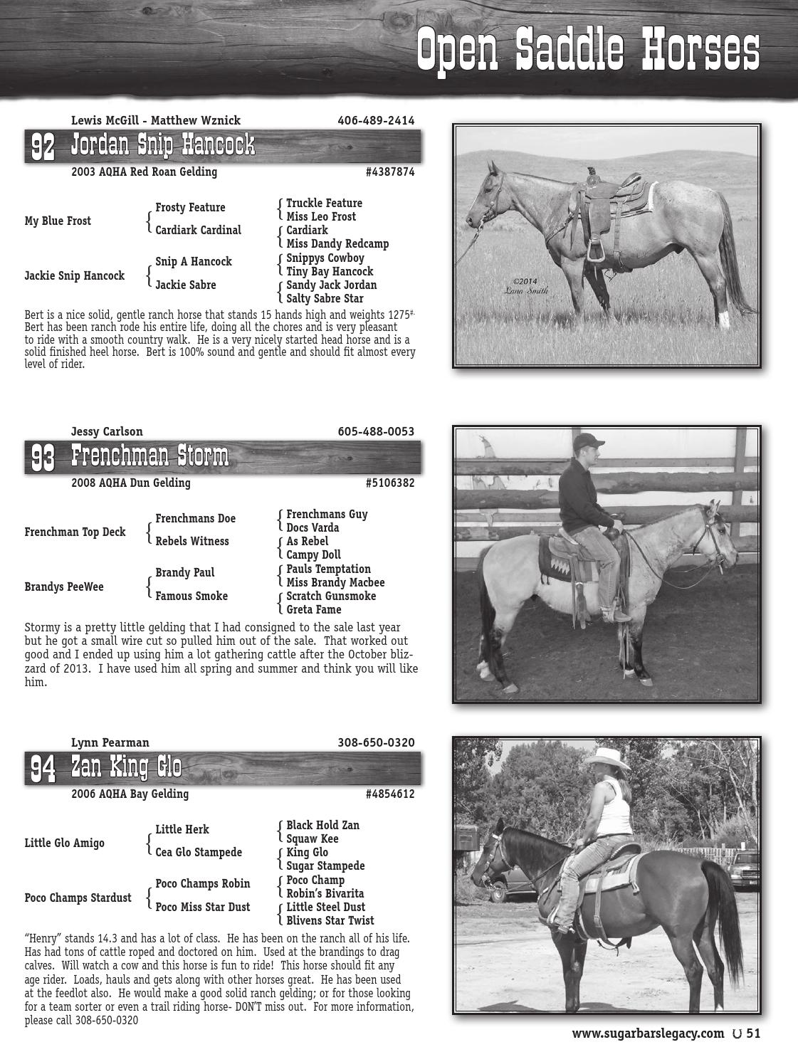 Sugar Bars Legacy 2014 Horse Sale Catalog by Moxie Marketing of the Midwest Issuu