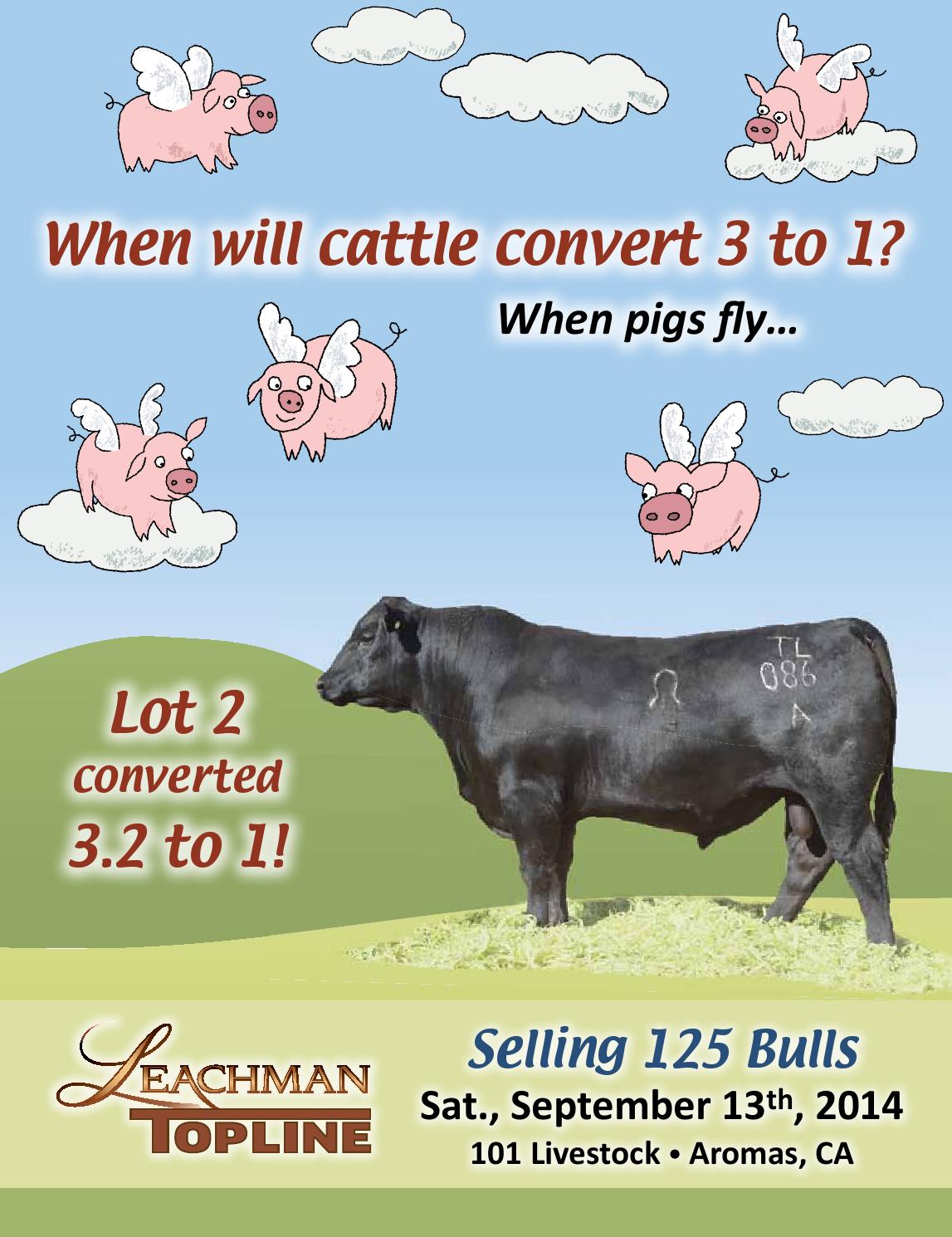 2014 TopLine Sale Catalog by Leachman Issuu