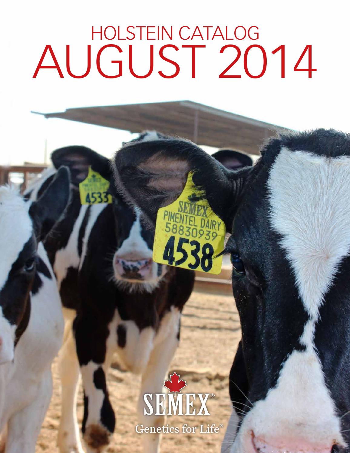 Semex August 2014 USA Holstein Catalog by Semex Issuu