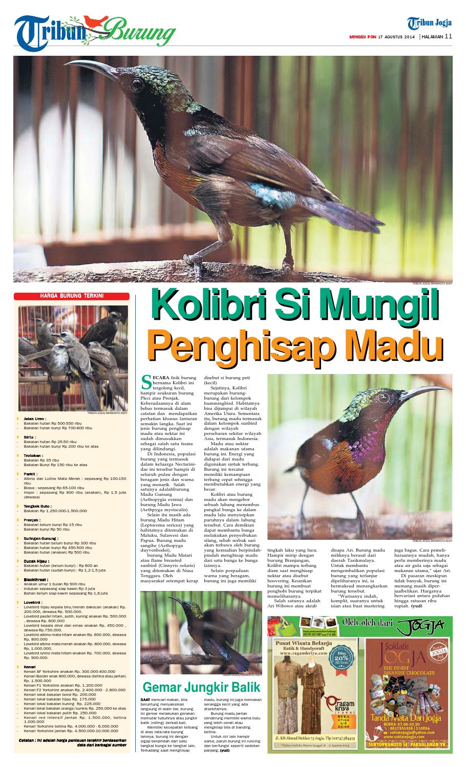 Tribunjogja 17 08 2014 By Tribun Jogja Issuu