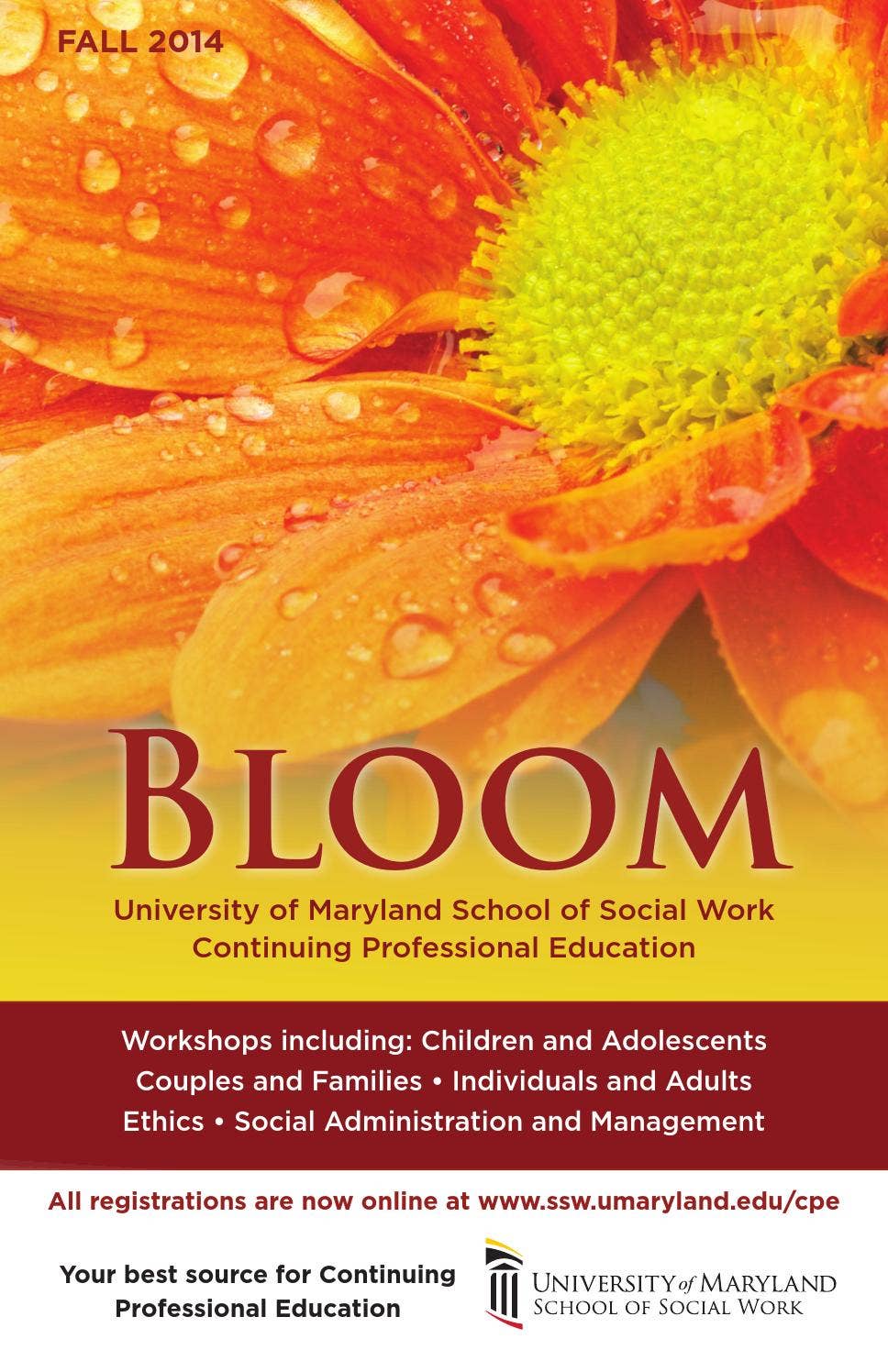 Bloom Fall 2014 by UM SSW Issuu
