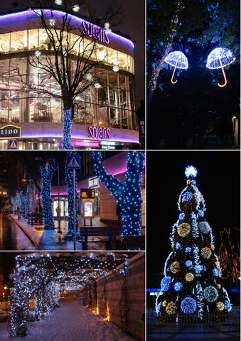 ADAMLIGHTS Adam Decolight Christmas 灯饰目录 2014/ 2015 第 6 页