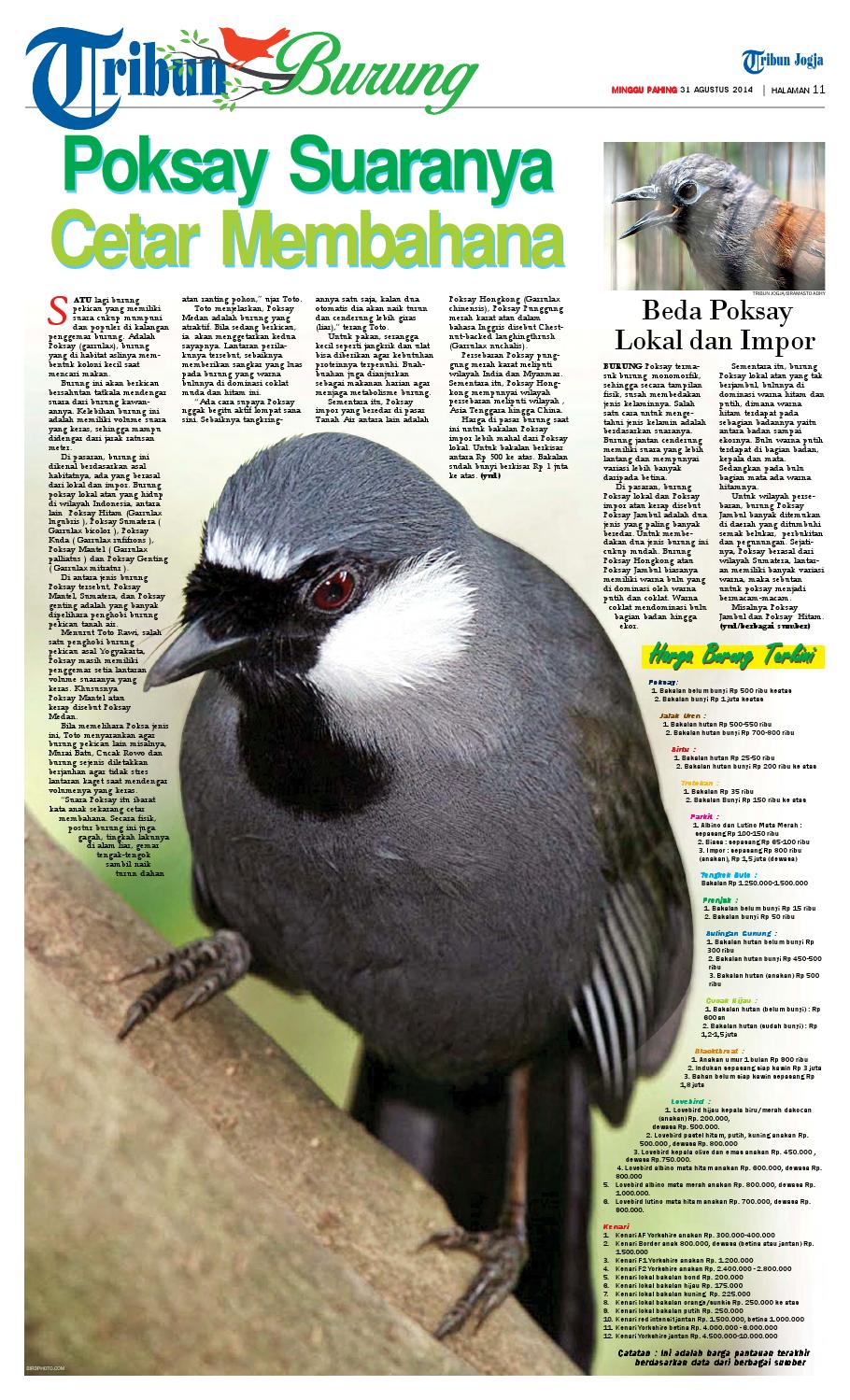 Tribunjogja 31 08 2014 By Tribun Jogja Issuu