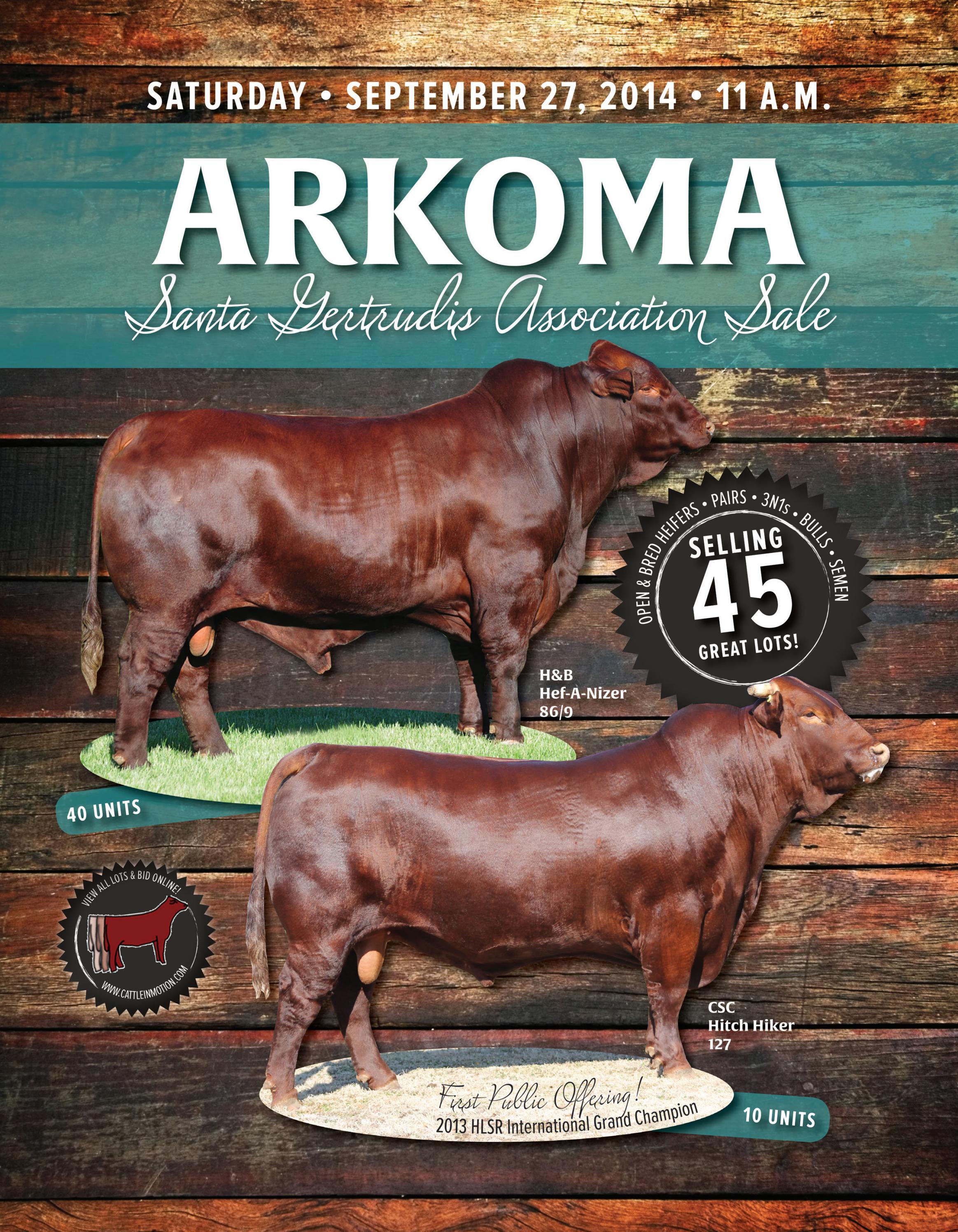Arkoma Santa Gertrudis Sale by Cattle In Motion, LLC Issuu