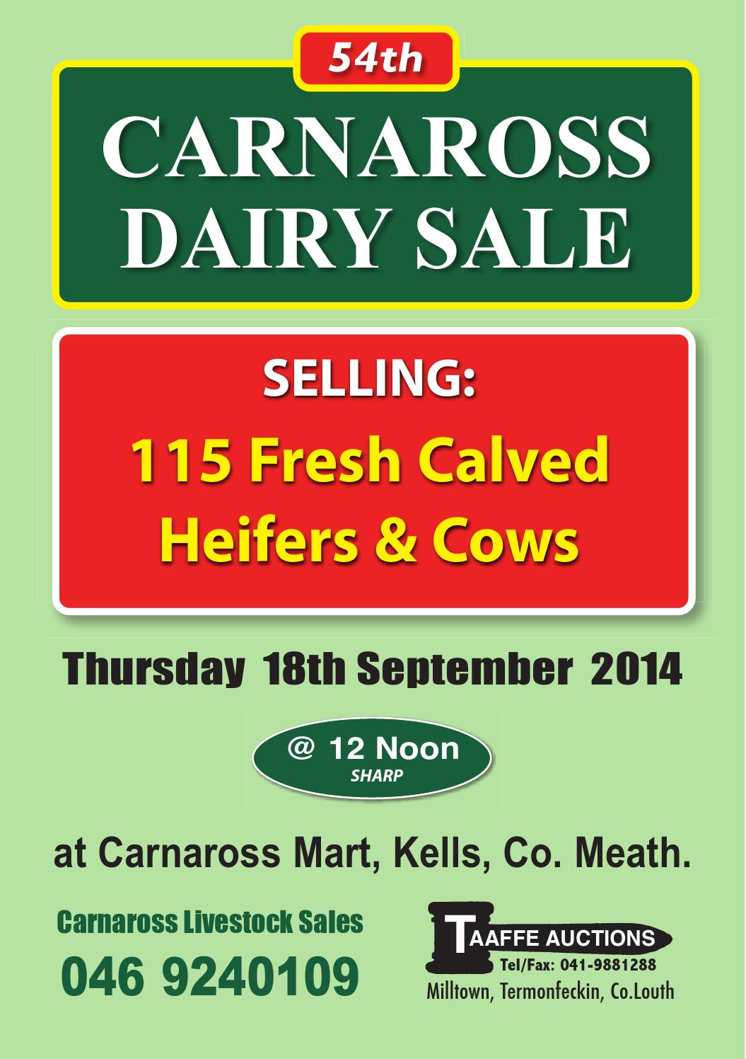 THE 54TH CARNAROSS DAIRY SALE by TAAFFE AUCTIONS LTD Issuu