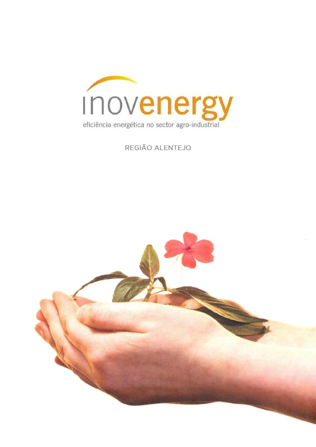 InovEnergy: eficiência energética no setor agro-industrial by C3i IPP ...