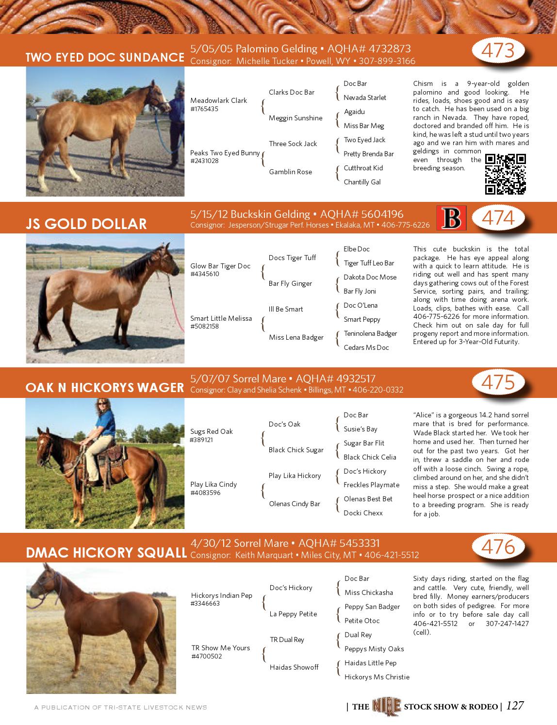 NILE Magazine, Schedule & Horse Sale Catalog by TriState Livestock