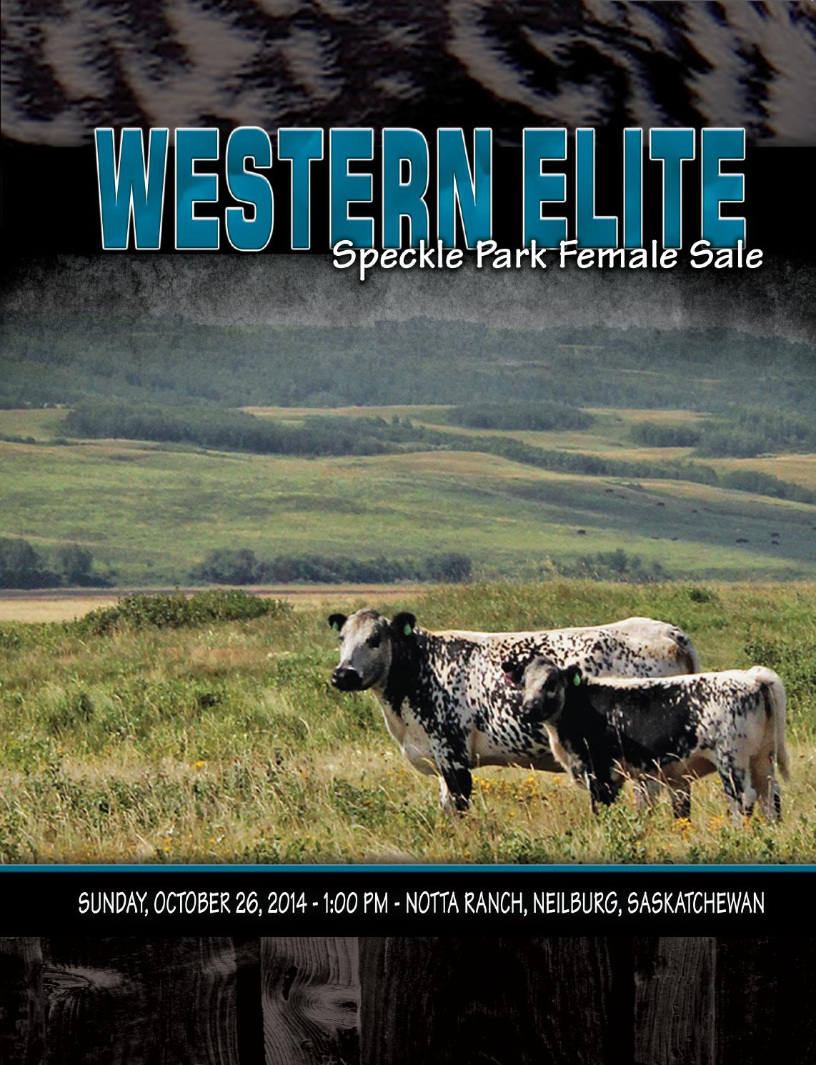 Western Elite Speckle Park Female Sale by Today's Publishing Inc. Issuu