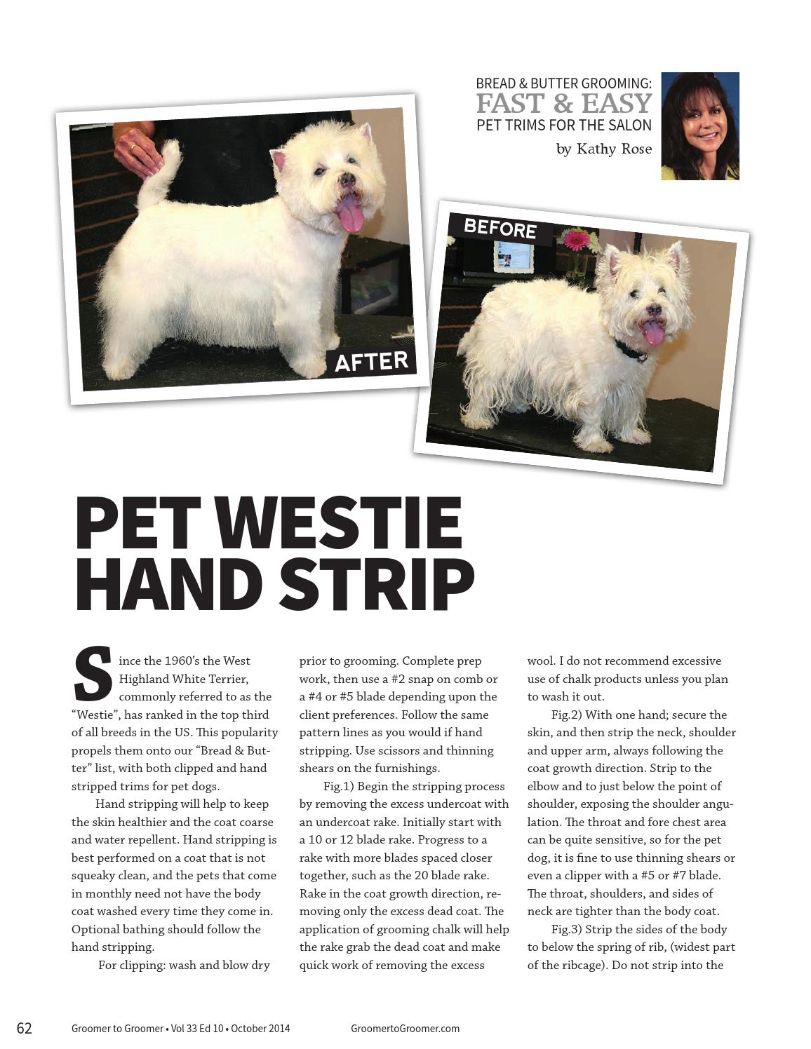 hand stripping a west highland terrier