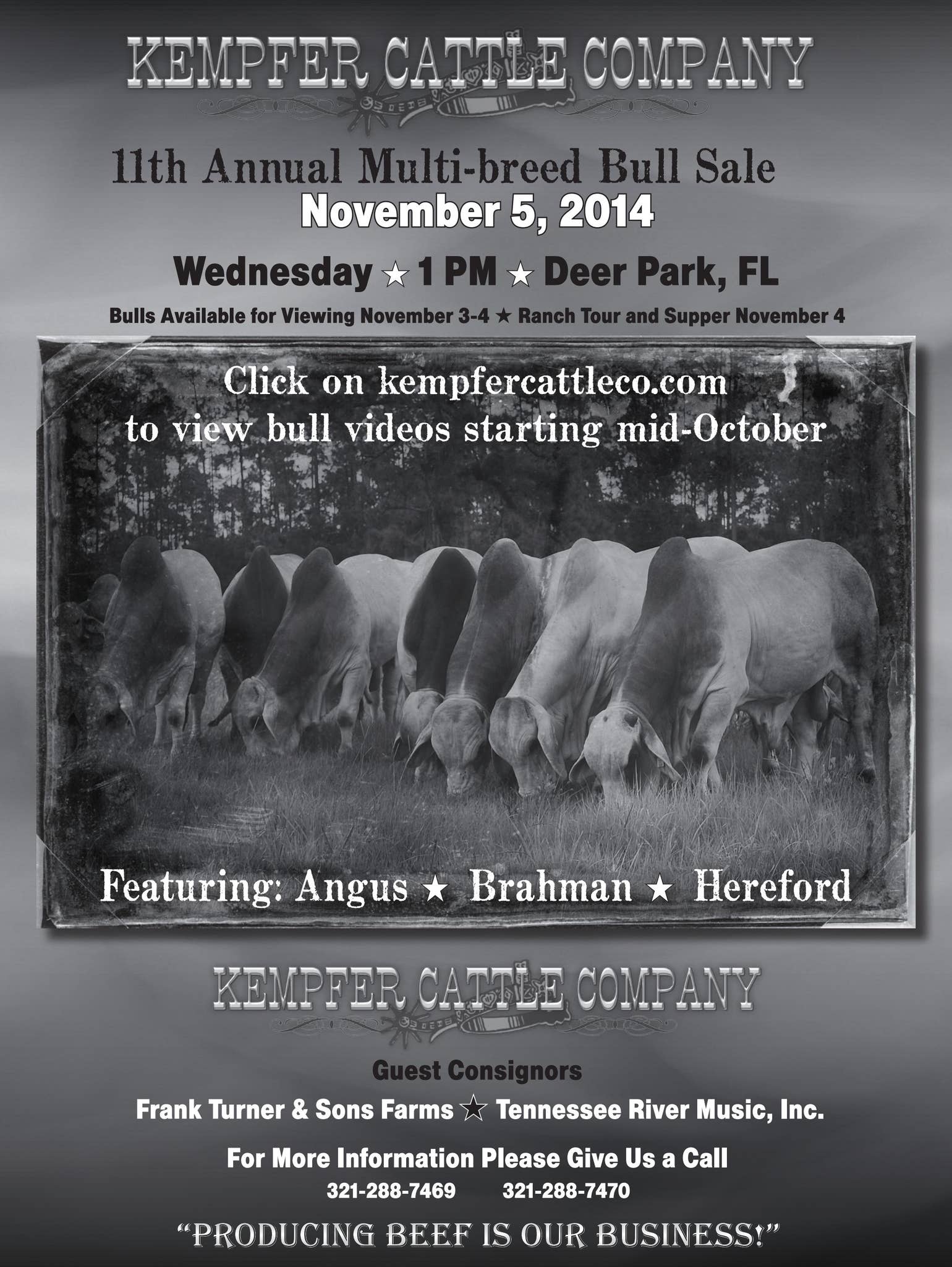 Kempfer Cattle Co. Bull Sale by Cattle In Motion, LLC Issuu