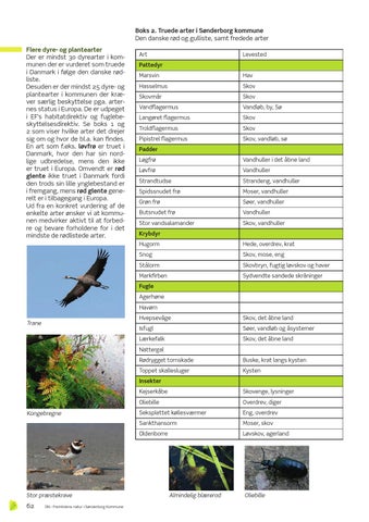 Page 62
