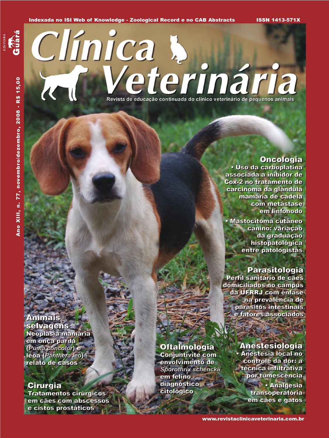 ¿qué puede causar una próstata agrandada en perros reaction
