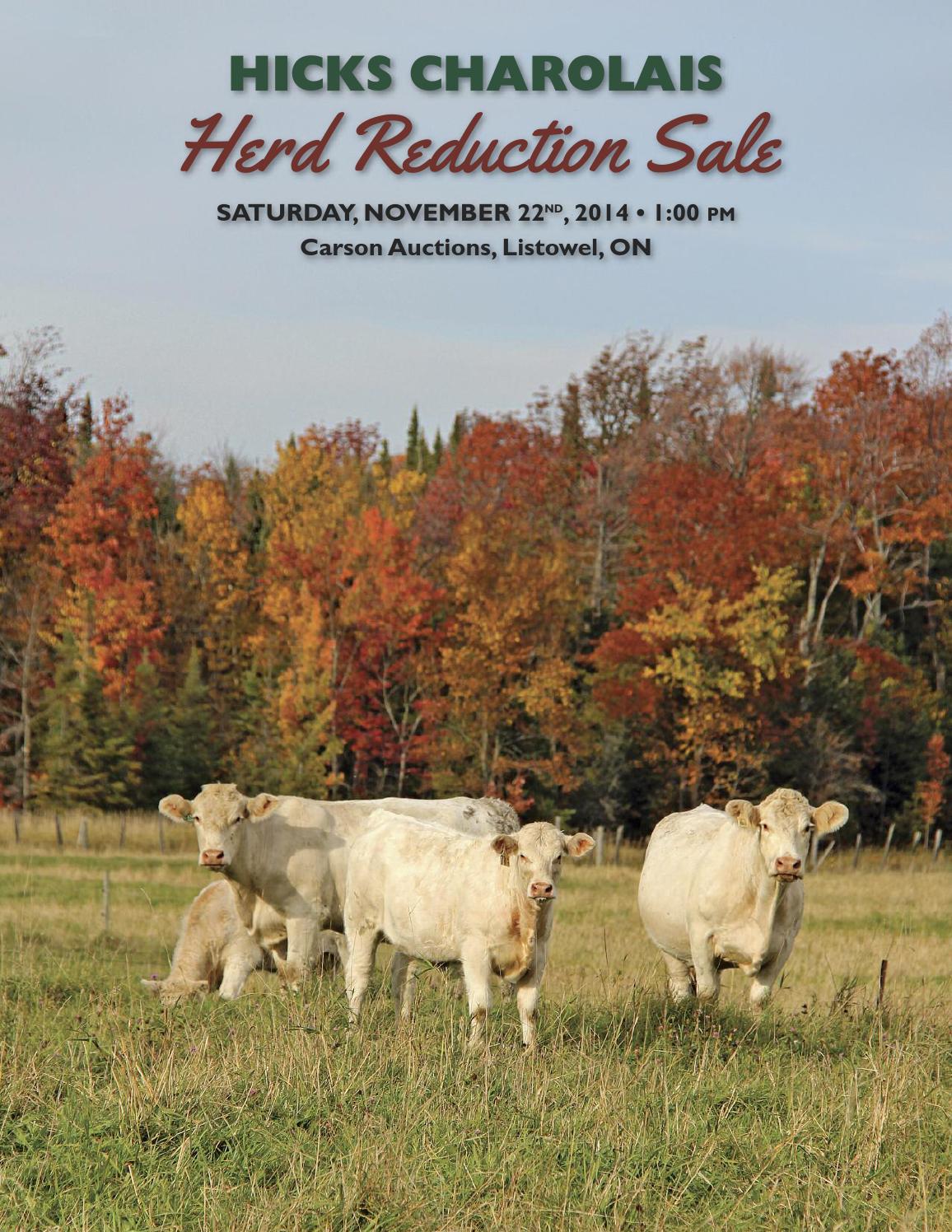 Hicks catalogue by Charolais Banner Issuu