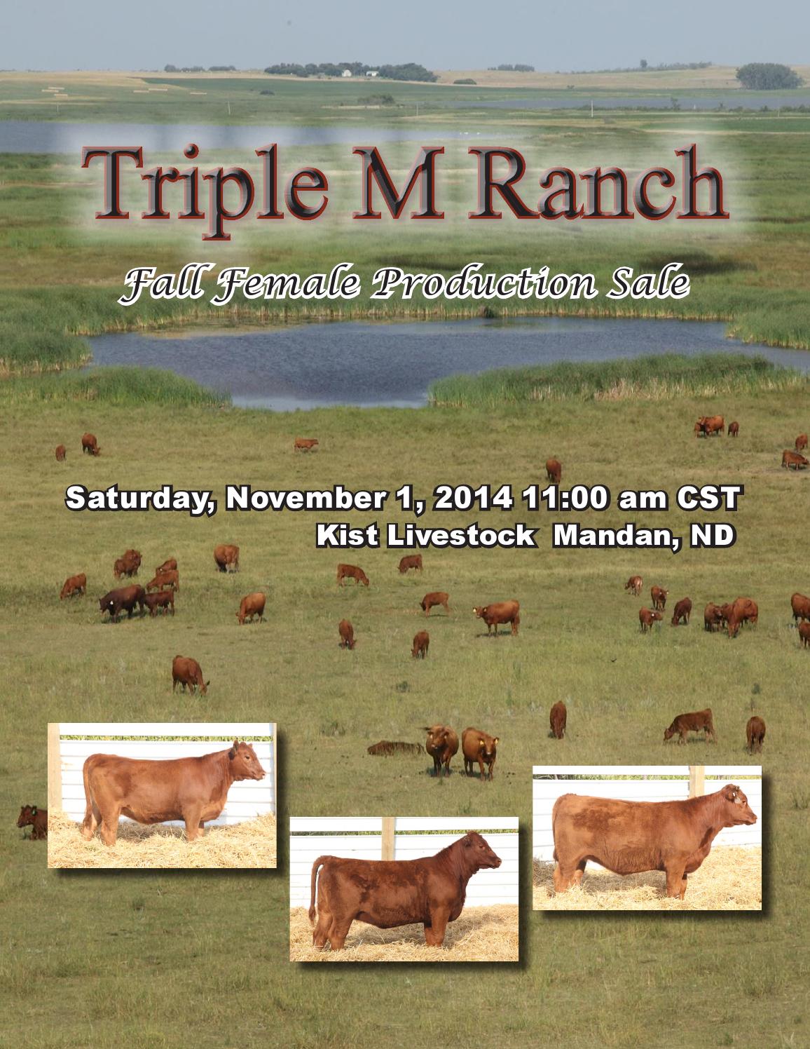 Triple M Ranch Catalog by Tracy McMurphy Issuu