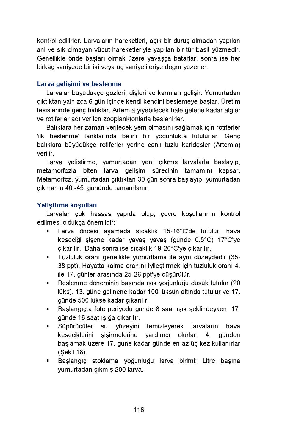 Bir başlangıç projesi nedir, nasıl başlatılır, geliştirilir ve tamamlanır Bir başlangıç projesi nedir, nasıl başlatılır, geliştirilir ve tamamlanır