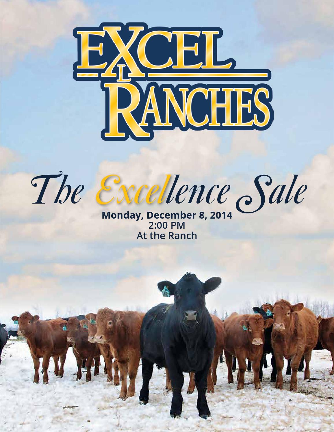 The Excellence Sale 2014 by Today's Publishing Inc. Issuu