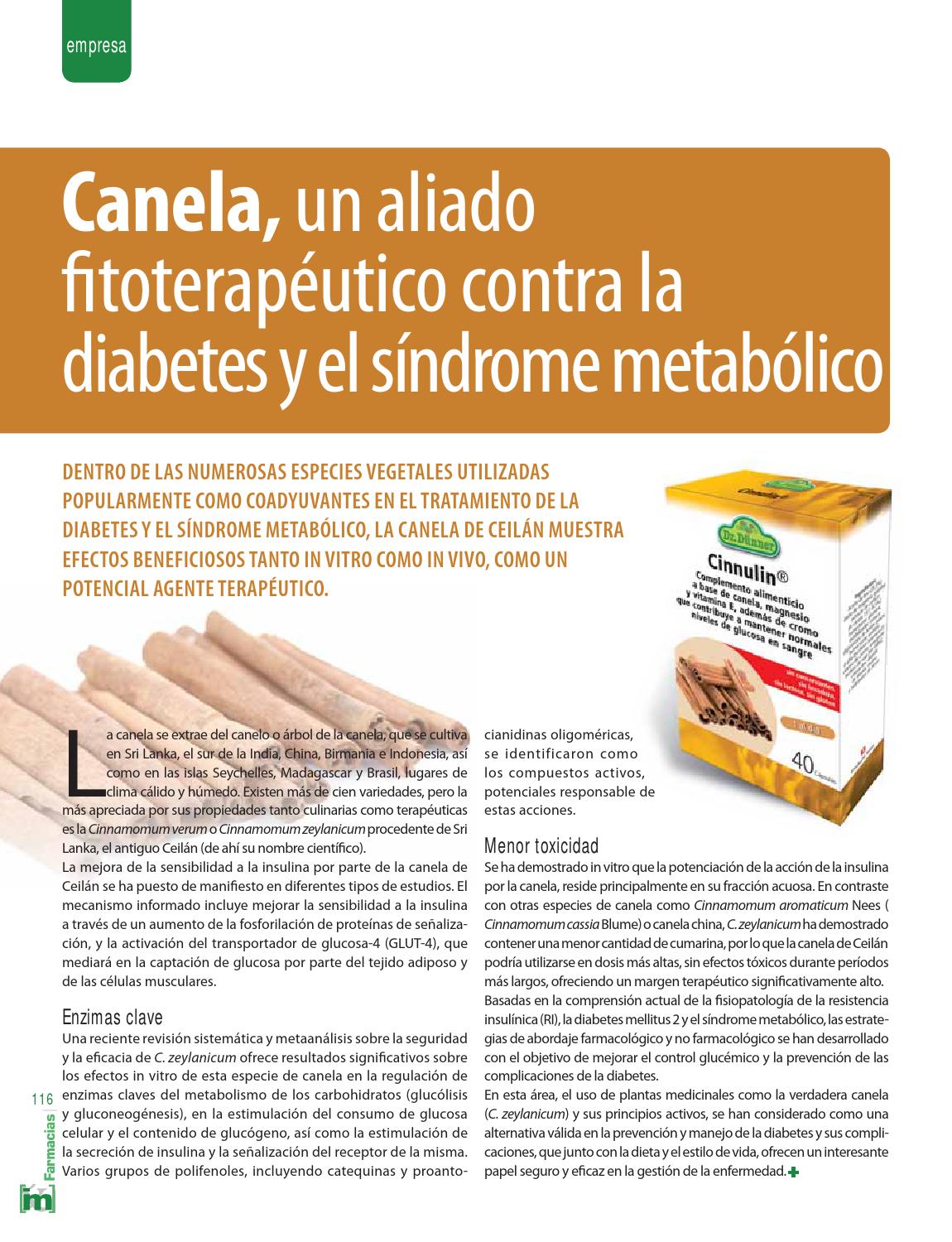 diabetes tratamiento de canela