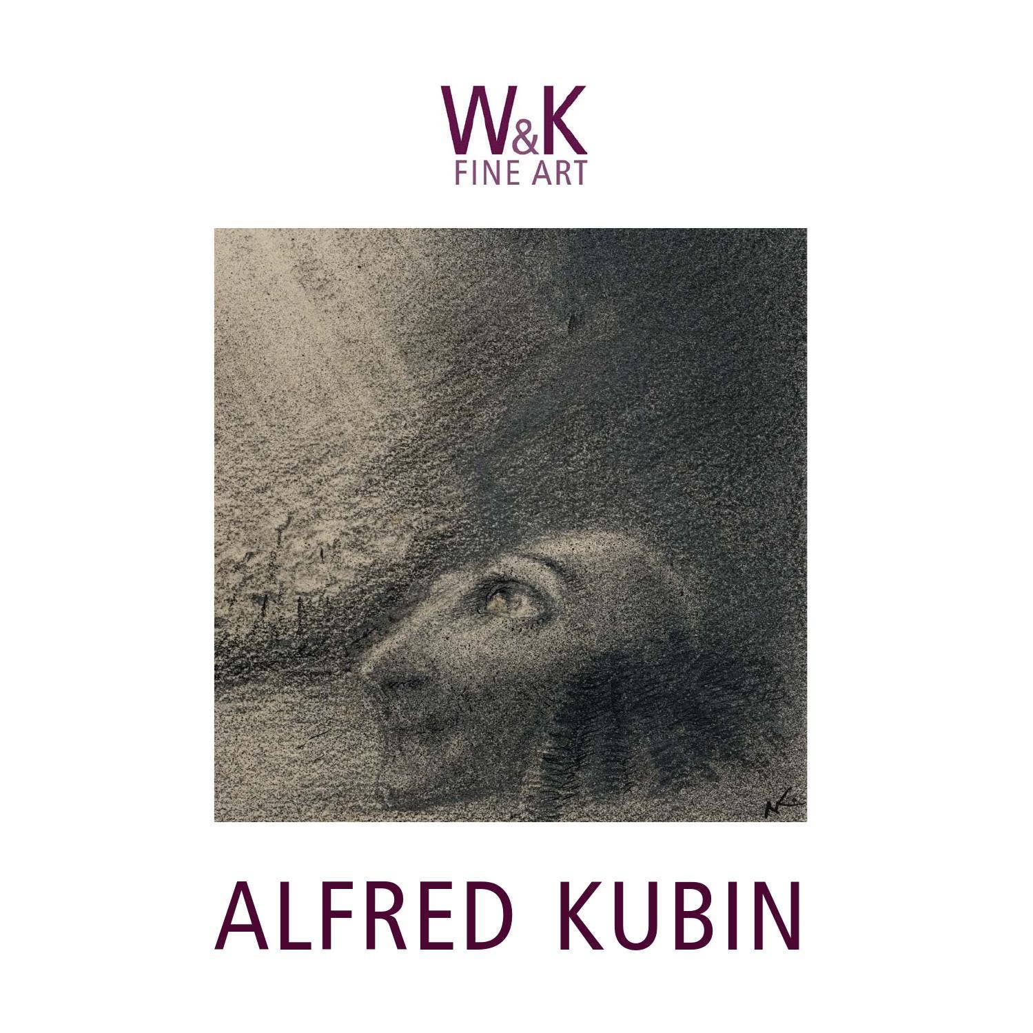 洋書 Verbal and Visual Art of Alfred Kubin 洋書 Verbal and Visual Art of Alfred Kubin Verbal & Visual
