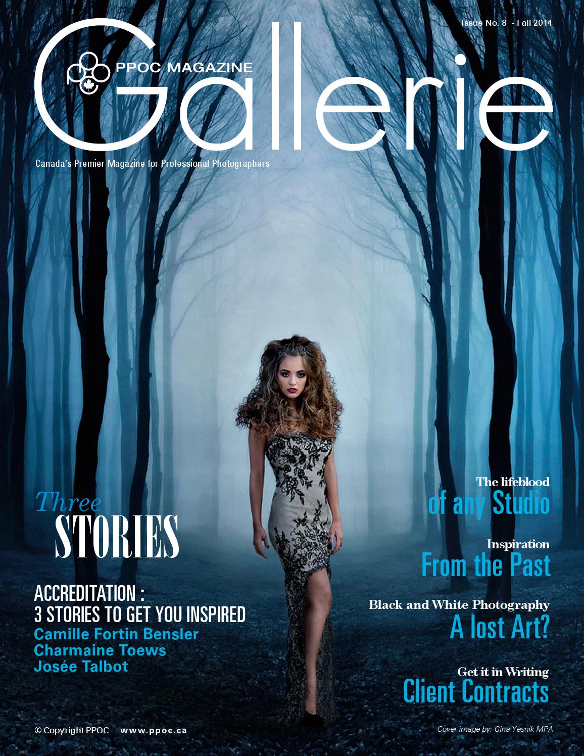 2014 Fall Gallerie English Version