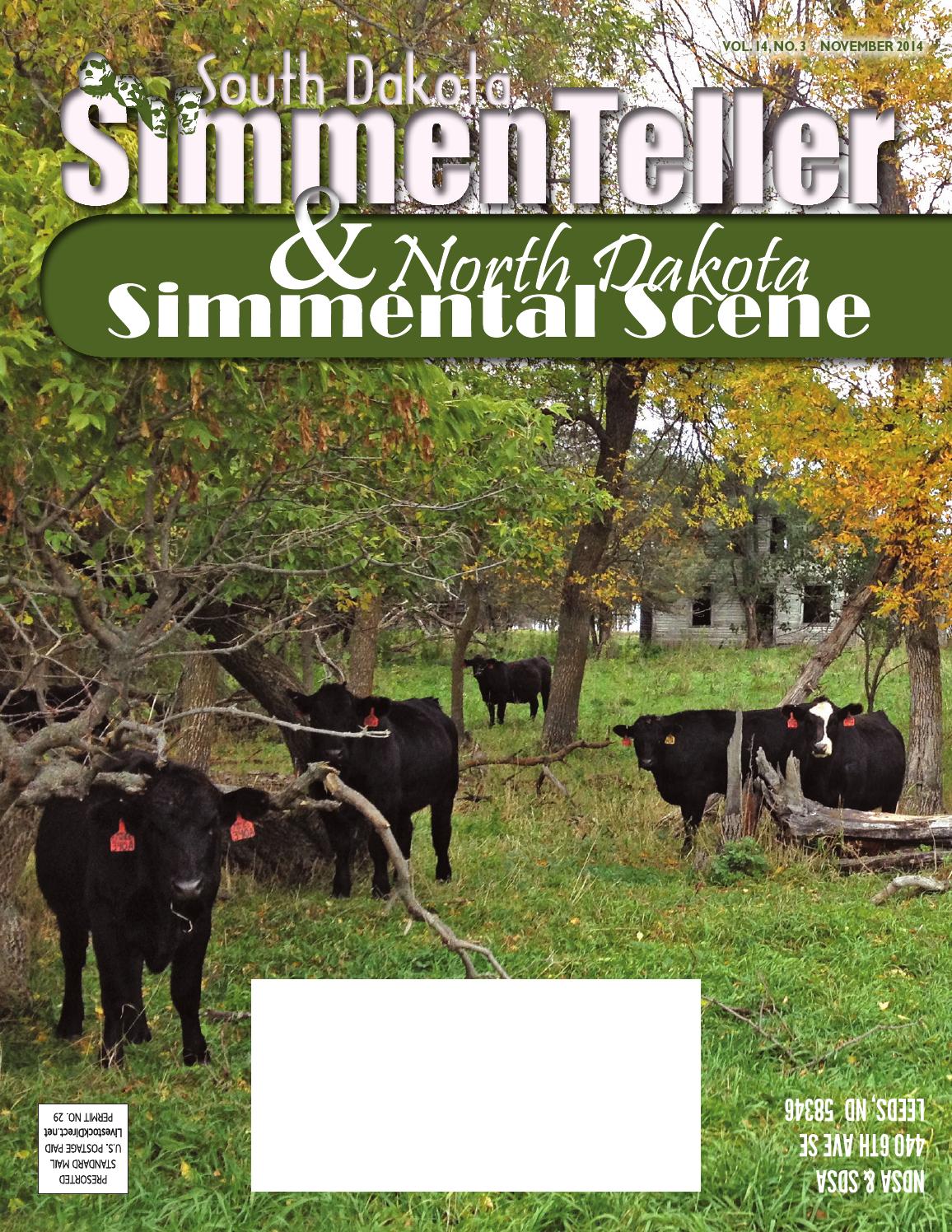 South Dakota SimmenTeller North Dakota Simmental Scene by