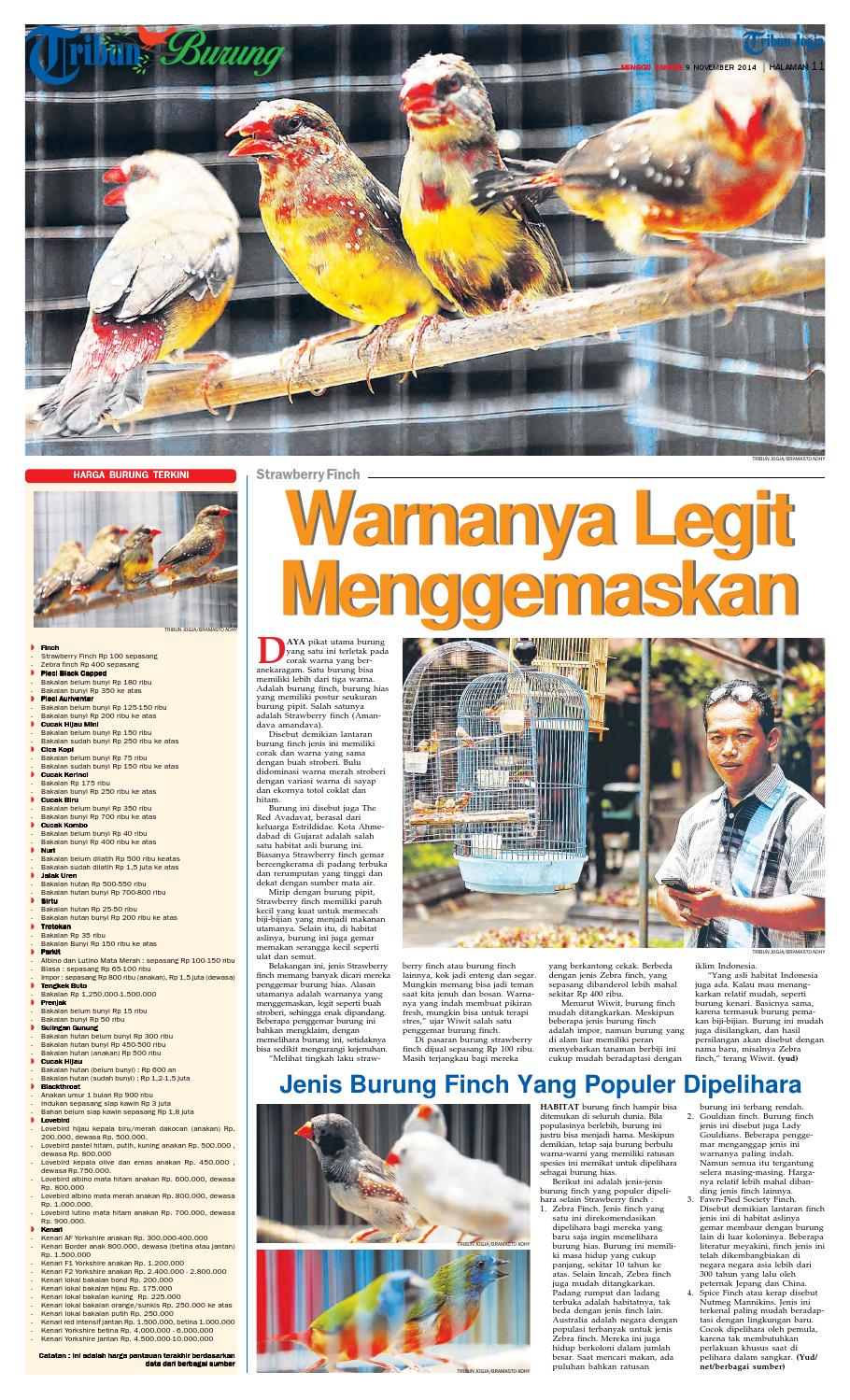 Tribunjogja 09 11 2014 By Tribun Jogja Issuu