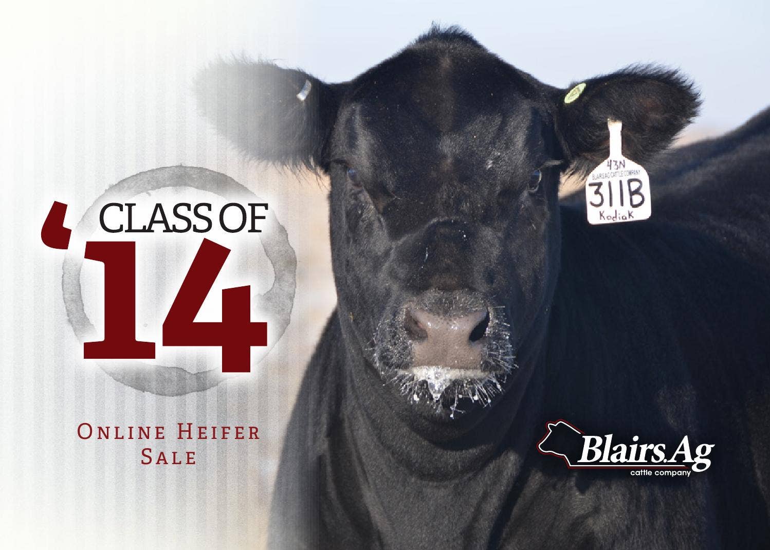Blairs Class of 2014 Catalog by Catalogs by Top Stock Issuu