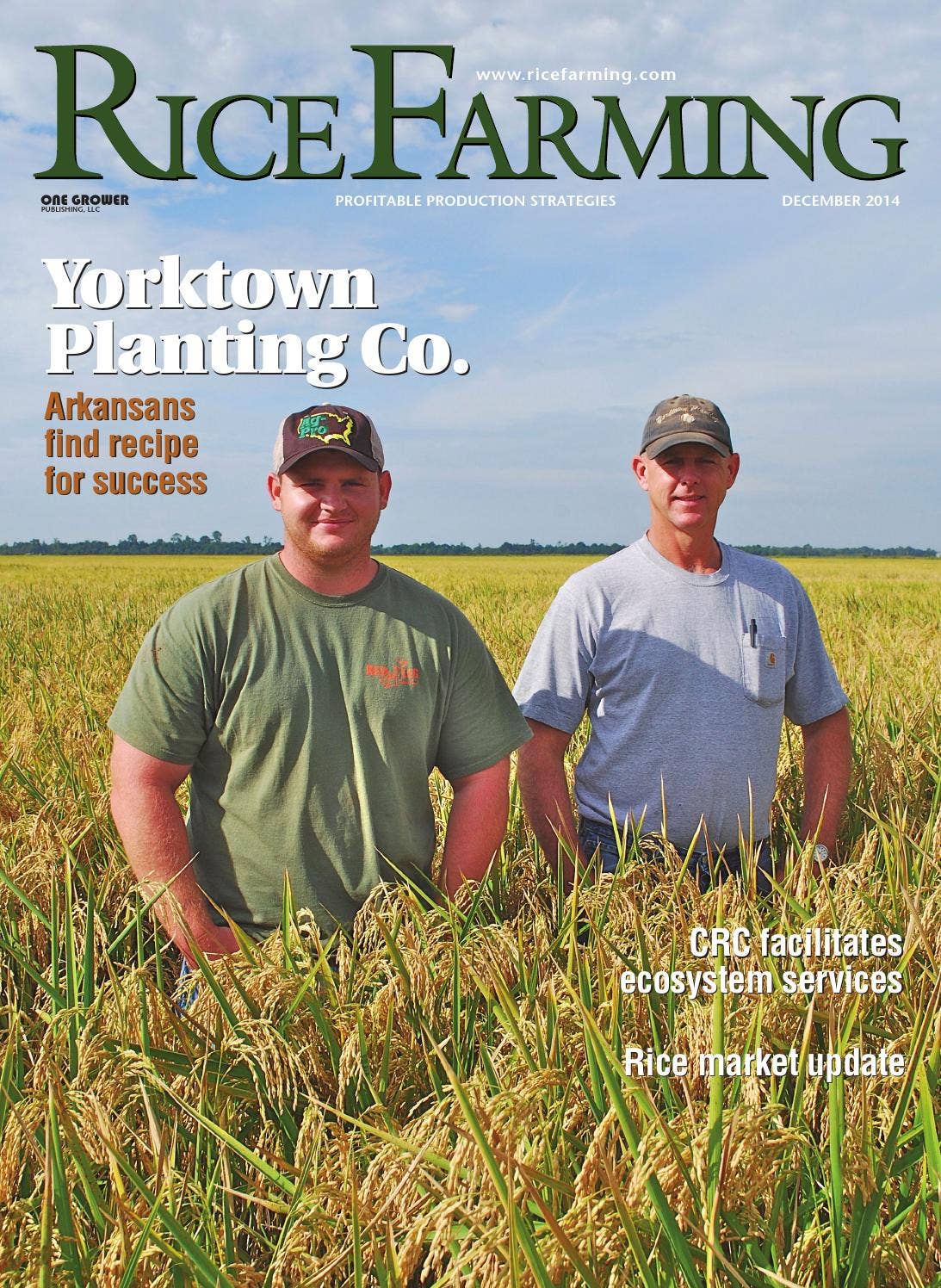 Blog Promoting Rice December 2014 rice farming by One Grower Publishing - Issuu