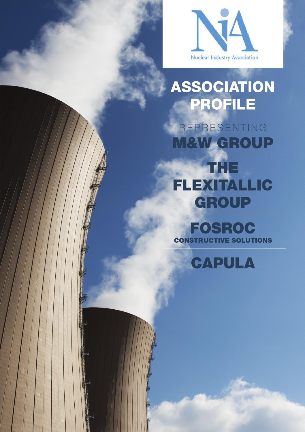 Nuclear Industry Association (NIA) November 2014 by Energy Digital