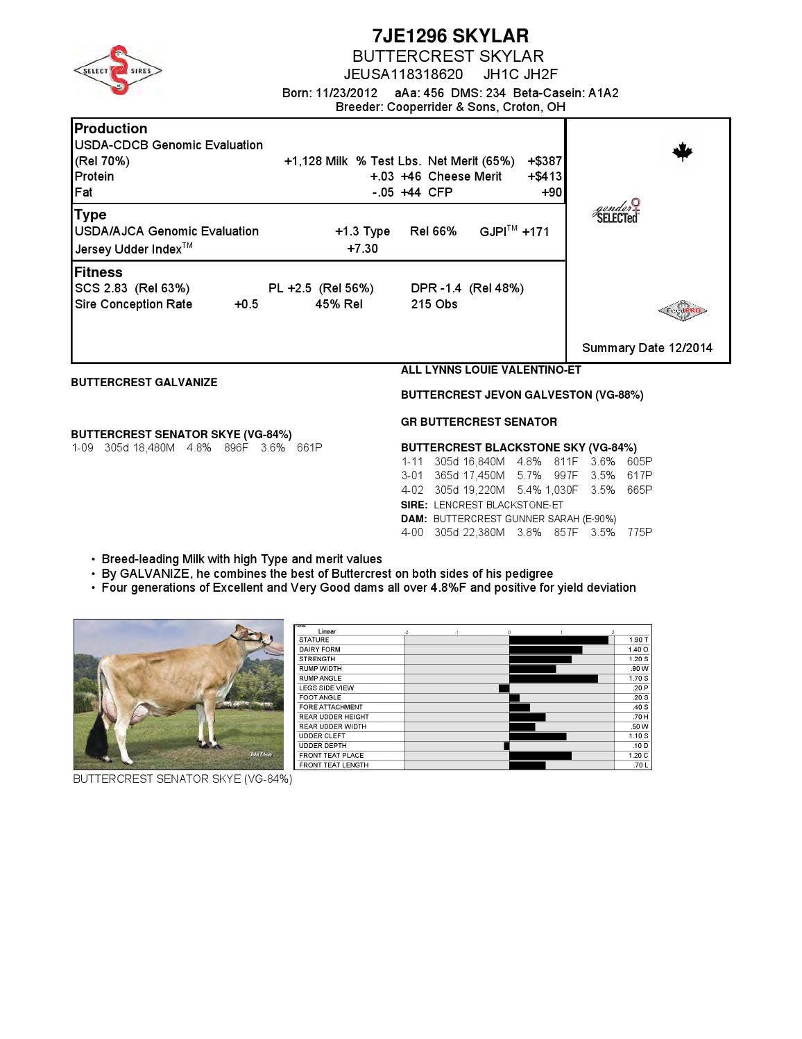 Super Sampler Rd December 2014 Super Samplers with Pedigrees by Select Sires - Issuu