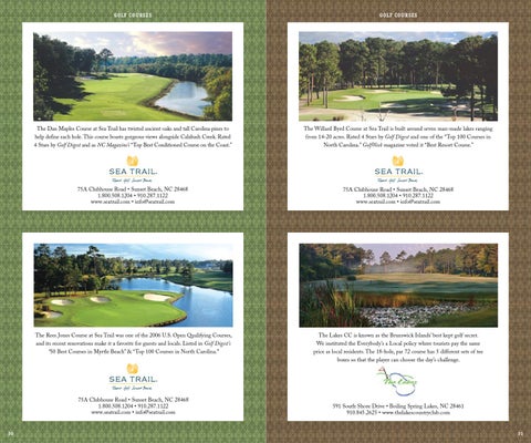 Moore Creative 灯饰目录 · 2015 golf 指南 第 17 页