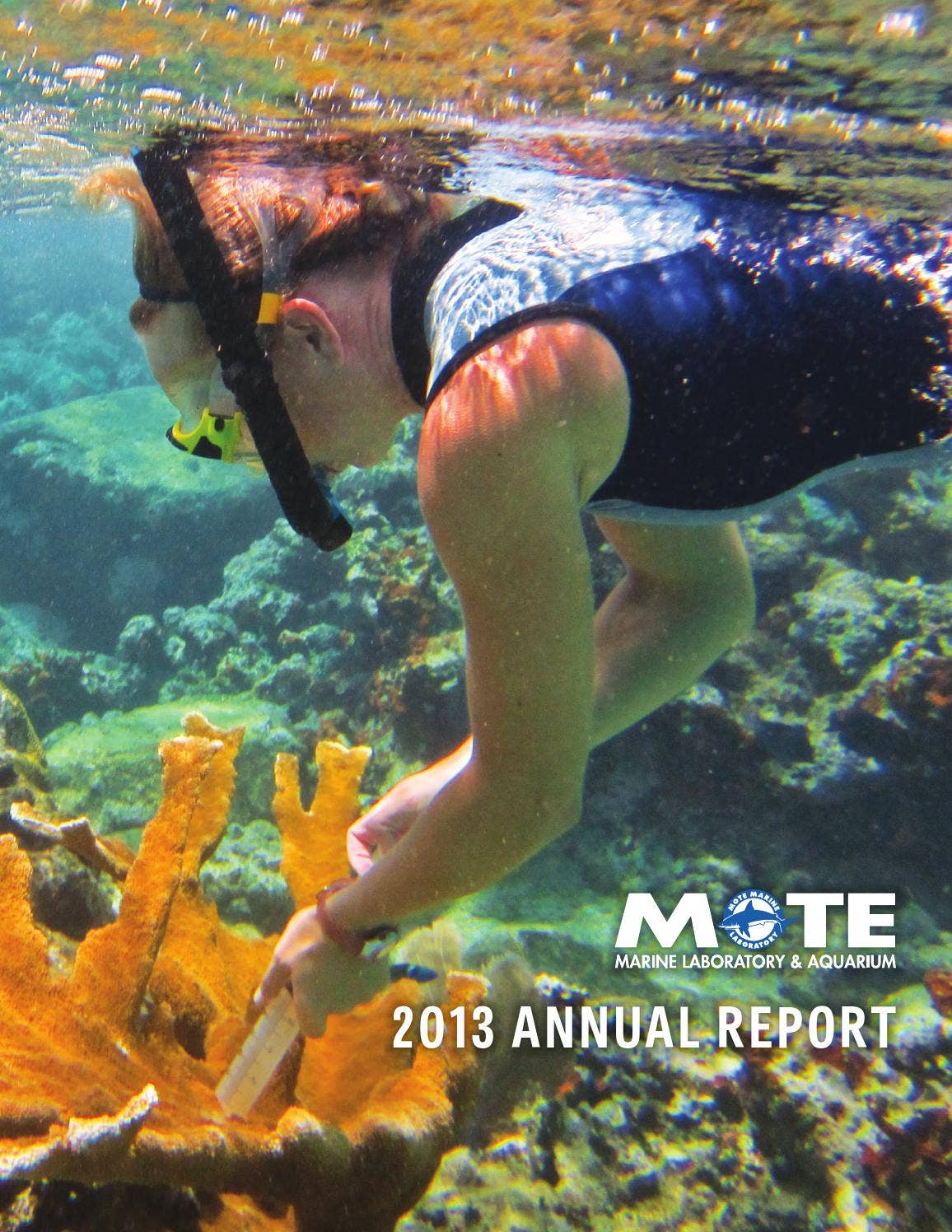 Mote Marine Laboratory 2013 Annual Report by Mote Marine Laboratory and ...