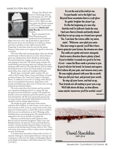 Page 41