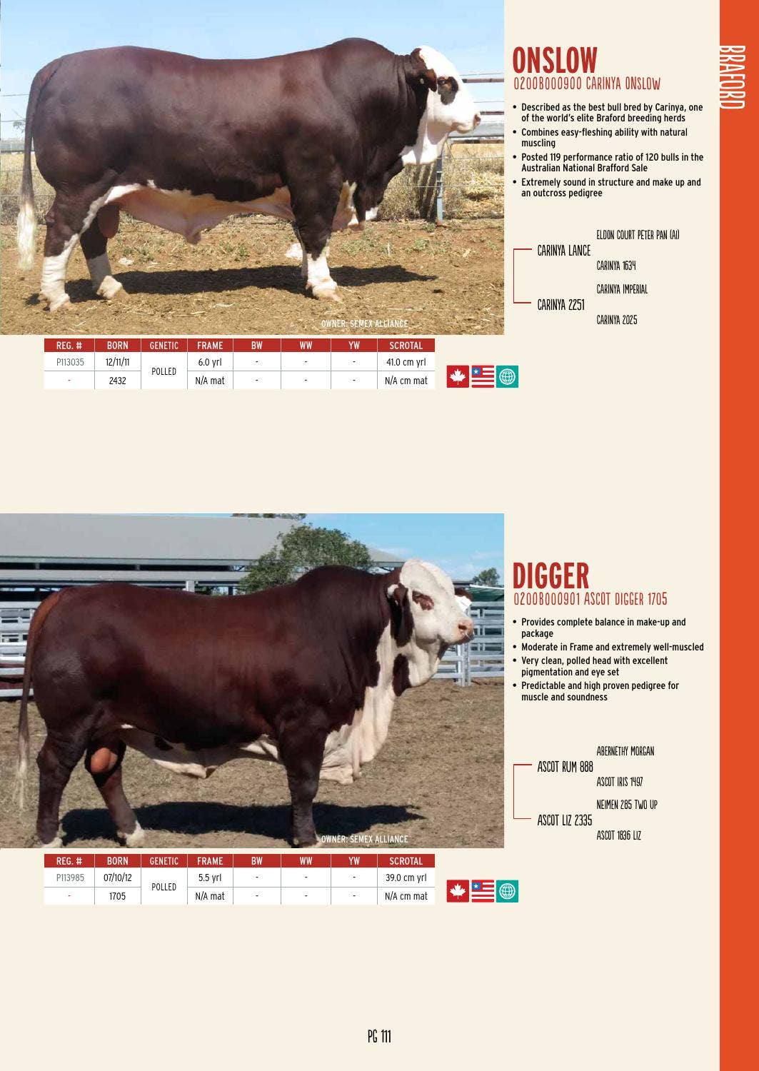 2015 International Semex Beef Catalogue by Semex - Issuu