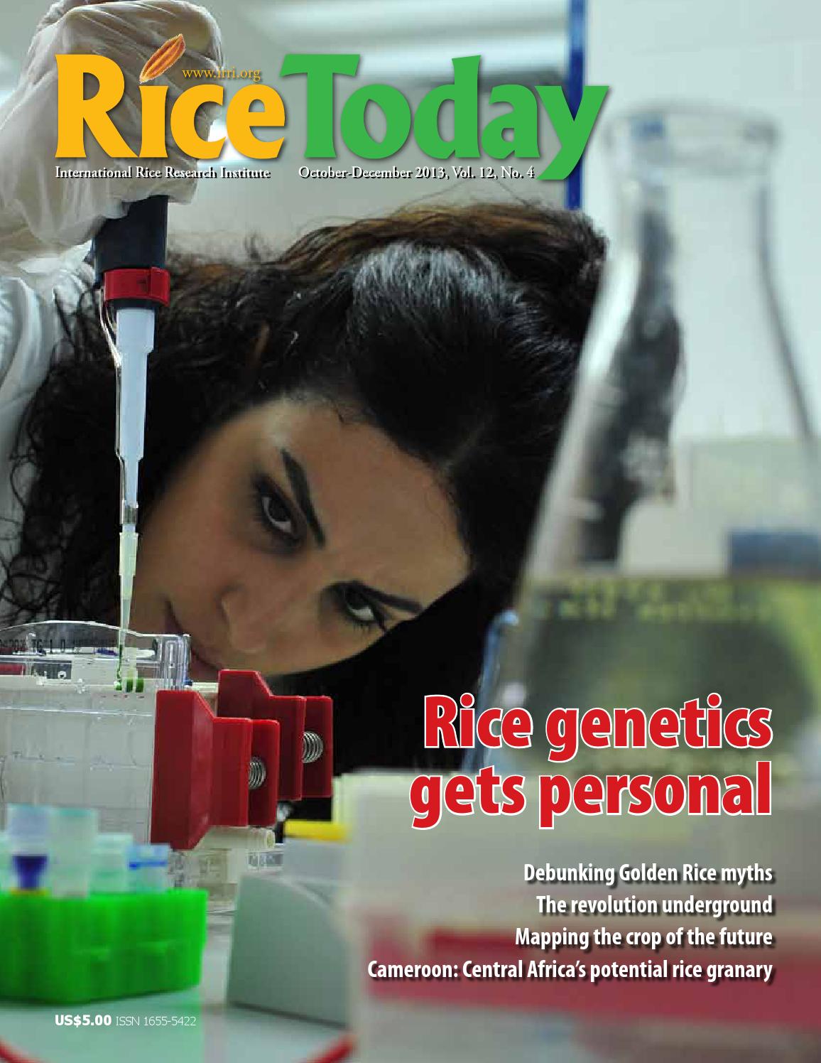 Rice today oct dec 2013 by DAILY RICE NEWS LETTER - Issuu
